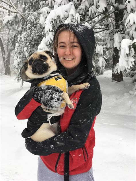 Mahalo's first snow! https://ift.tt/2L59ozy Pug Meme, First Snow, Pug
