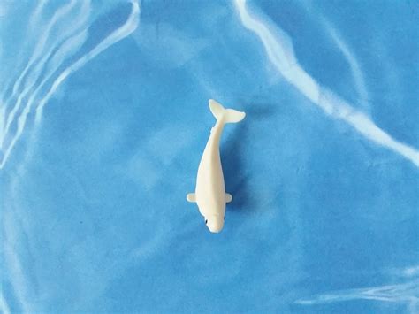 Tiny Beluga Whale Figurine Soft Plastic Animal For Diorama Etsy