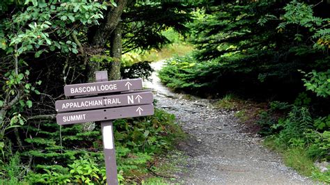 Mount Greylock Hiking Trails Grey Choices