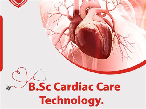 Jobs After Bsc Cardiac Care Technology Infolearners