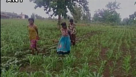 Madhya Pradesh Financial Crisis Forces Farmer To Use Daughters To Pull