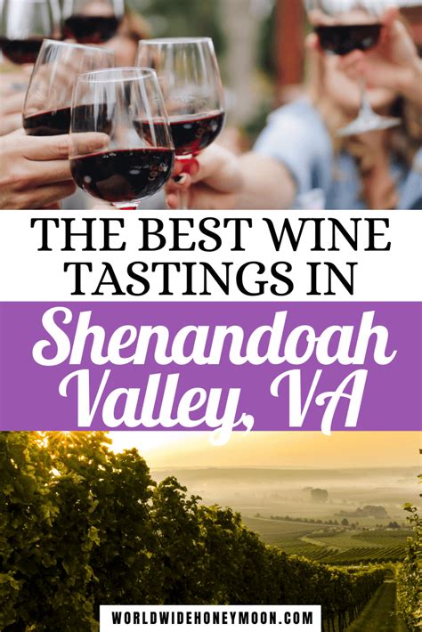 The 10 Best Wineries Near Shenandoah National Park You Have To Try