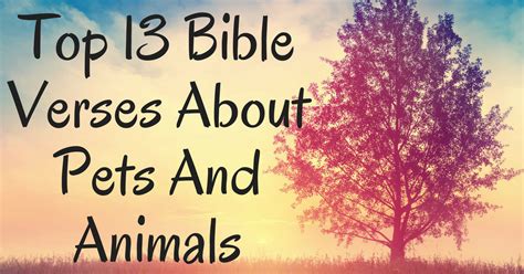 Maybe you would like to learn more about one of these? Top 13 Bible Verses About Pets And Animals ...