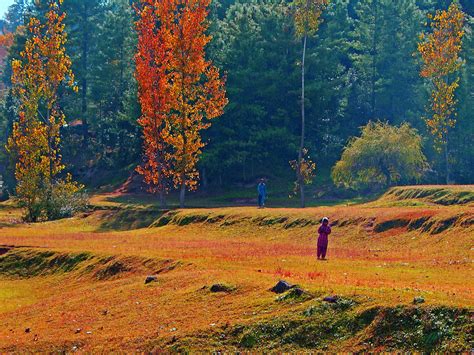 Azad Kashmir ~ Lovely Pakistan