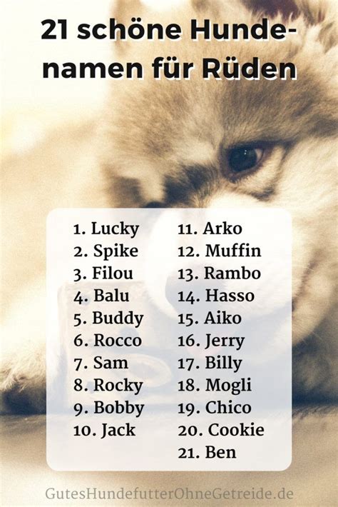 21 Der Schönsten Hundenamen Für Rüden Mit Bedeutung Dogcode Schöne