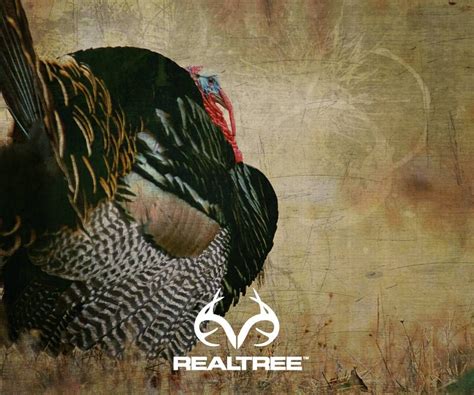Its About That Time Hunting Wallpaper Turkey Hunting Hunting Girls
