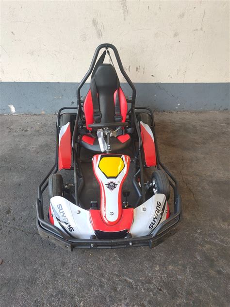 Teens Go Kart 2000w Electric Karting With Hub Motor China Wholesale