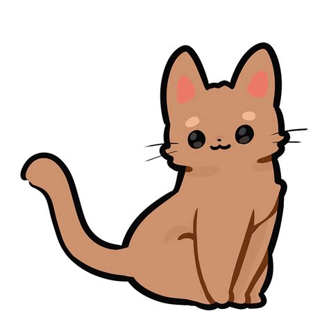 Kot Kotek Imbir Darmowy Obraz Na Pixabay