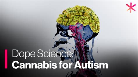 Spain d., happe f., johnston p., et al. Cannabis as a Natural Treatment for Autism - YouTube