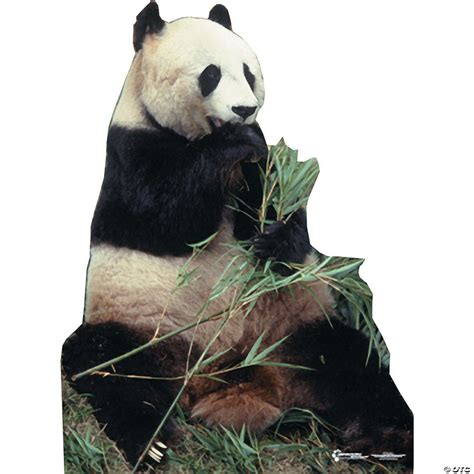 Panda Bear Cardboard Stand Up