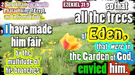 Kjv Ezekiel 319 I Have Made Him Fair By The Multitude Of His Branches