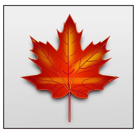 Canada Maple Leaf Clip Art Maple Leaf Png Download 24002400 Free