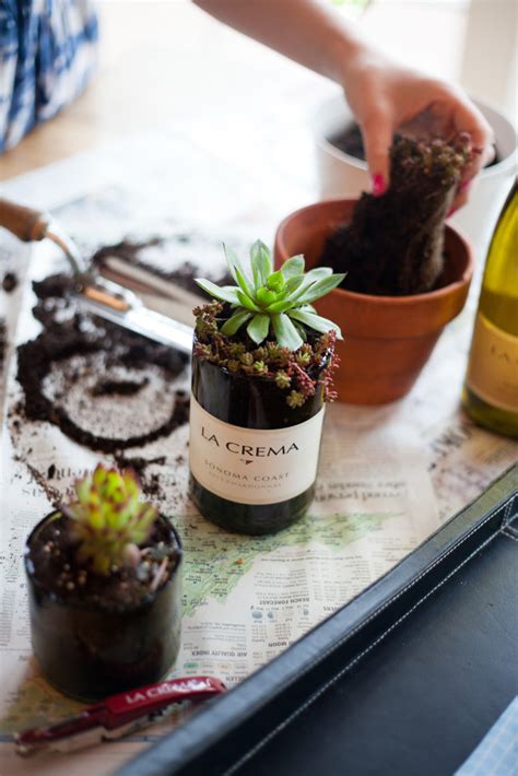 Few things are as frustrating as having wine and not being able to drink said wine. DIY: Wine Bottle Succulent Planters