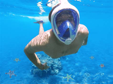 Limits the entry of saliva droplets from the wearer into the environment. Experts Raise Questions About Safety Of Full-Face Snorkel ...