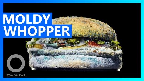 Moldy Whopper Ad From Burger King Tomonews Youtube