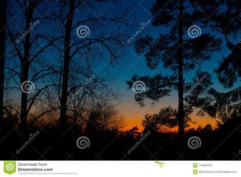 Beautiful Sunset In A Swedish Forest Colorful Sky In Blue And O Stock