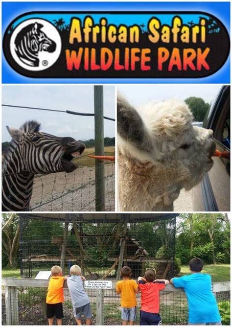 Our Day At African Safari Wildlife Park Port Clinton Ohio ~ Review