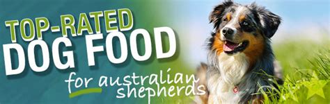 For optimum bone growth and development we recommend that you feed a selection of somerford raw & natural puppy & baby puppy varieties. Best Dog Food for Australian Shepherds - Puppies, Adult ...