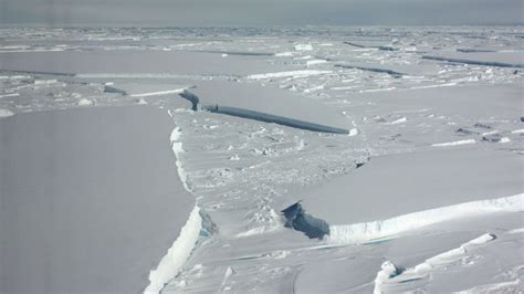 Scientists Accidentally Find Life Beneath Ice Shelves In The Antarctic