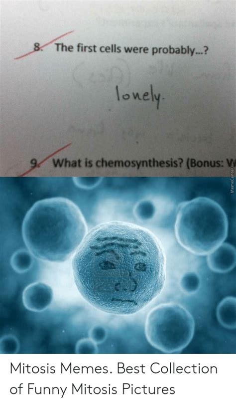 8 The First Cells Were Probably Lonely What Is Chemosynthesis Bonus V 9 Memec Mitosis Memes