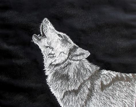 Step one, i started with big circular shape and one oval shape as its snout. Wolf Howl Drawing by Stan Hamilton