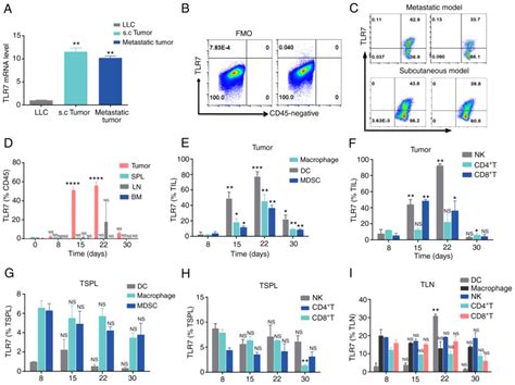 The Tlr78 Agonist R848 Optimizes Host And Tumor Immunity To Improve
