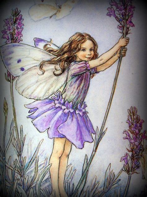 Ponderful Flower Fairies Fairy Art Illustration