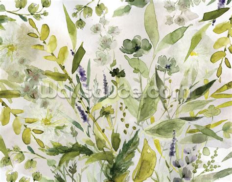 Shop This Olive Green Plants Wallpaper By Carol Robinson For Your Home