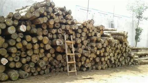 Teak Wood Logs And Wooden Double Bed Wholesaler Int Timbers Virudhunagar