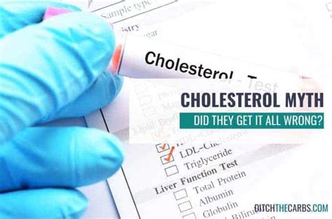 The Cholesterol Myth How Did They Get It So Wrong