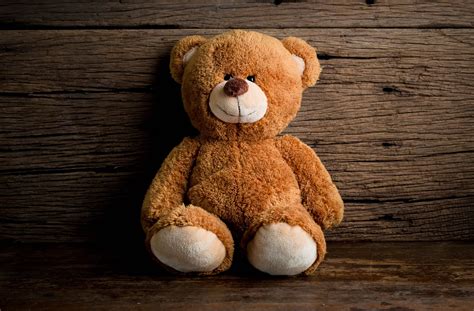 1366x768 Resolution Brown Bear Plush Toy Toys Sitting Portrait