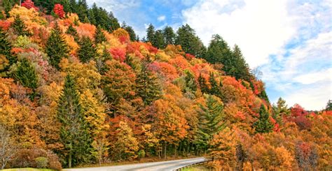 Smoky Mountain Fall Foliage Map 2022