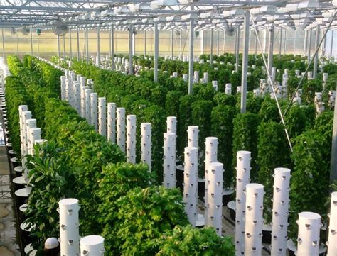 Aeroponics Tower Garden For Cannabis Growing Thump Munufacturer