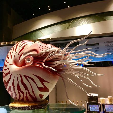 Pastry Chef Creates A Beautiful Sculpture Of A Nautilus Cephalopod Made