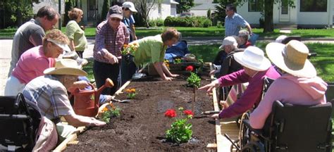 How Horticultural Therapy Helps Seniors Complete Senior