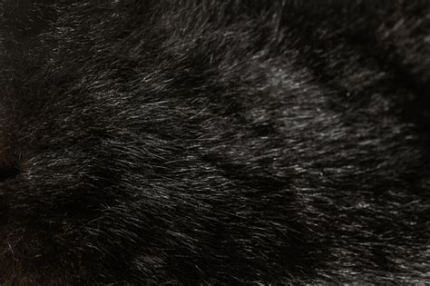 Black Fur Textured Background Stock Photo Download Image Now Istock