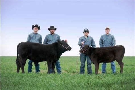 West Texas Aandm Beef Cloning Moving Ahead Hppr