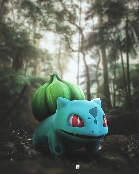 Bulbasaur Pokemon Go Pokemon Anime Hd Phone Wallpaper Peakpx