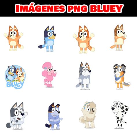 0 Result Images Of Bluey Y Bingo Png Png Image Collection