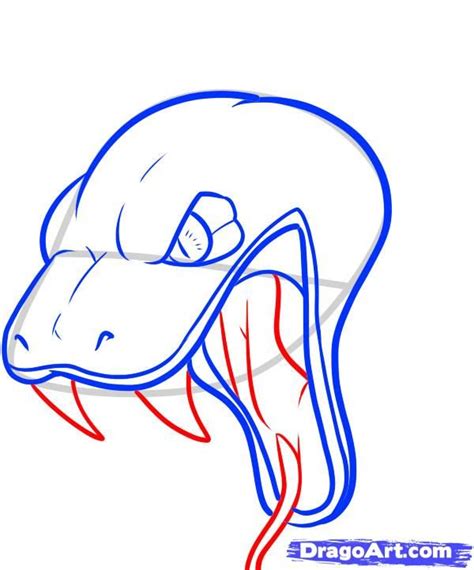 How To Draw A Snake Head Draw Snake Heads Step 10 Snake Drawing