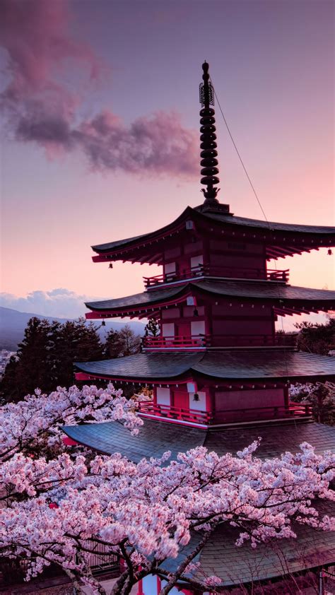 396869 Wallpaper Mount Fuji Cherry Blossom Scenery Volcano 4k Hd