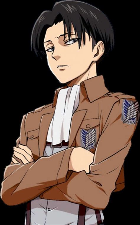 Levi From Inquisitormaster  Levi Ackerman Reader Care Wattpad Don