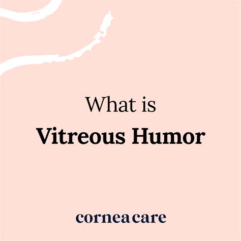 Vitreous Humor Corneacare