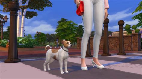 Creating A Jack Russell Terrier In The Sims 4 Create A Pet Youtube