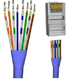 A cat 5 cable contains 8 wires and has a specific wire order. Color Coding Cat 5e and Cat 6 Cable Straight Through and ...
