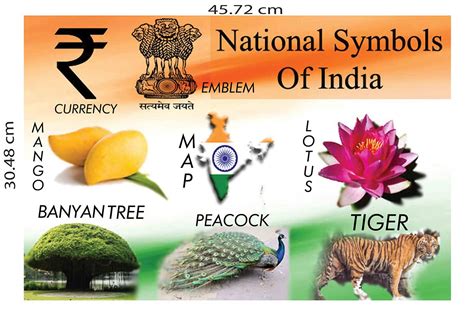 Top 999 National Symbols Of India Images Amazing Collection National