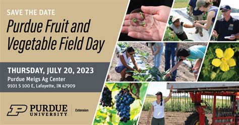 Purdue Fruit And Vegetable Field Day July 20 2023 Purdue University Facts For Fancy Fruit