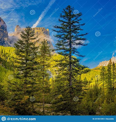 View Over Magical Dolomite Peaks Ancient Pine And Spruce Forests