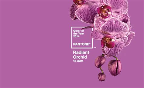Pantone Color Of The Year 2014 Is Radiant Orchid Another Shade Of Purple