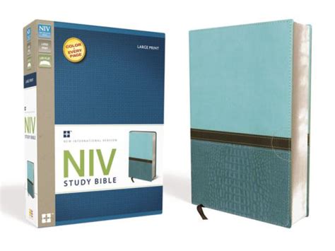 Study Bible Niv Large Print By Zondervan Hardcover Barnes And Noble®